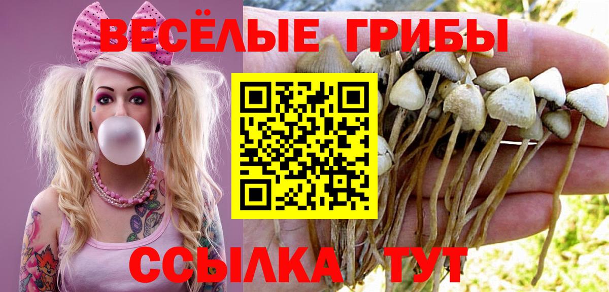 Псилоцибиновые грибы MAGIC MUSHROOMS Канск