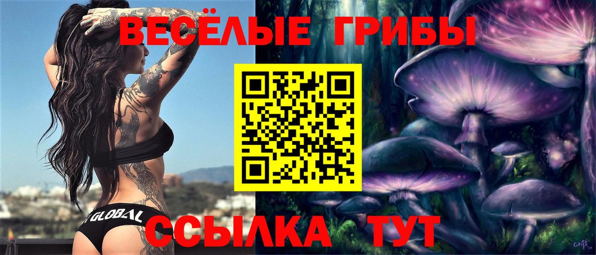 Псилоцибиновые грибы прущие грибы  Вход с VPN  Канск 